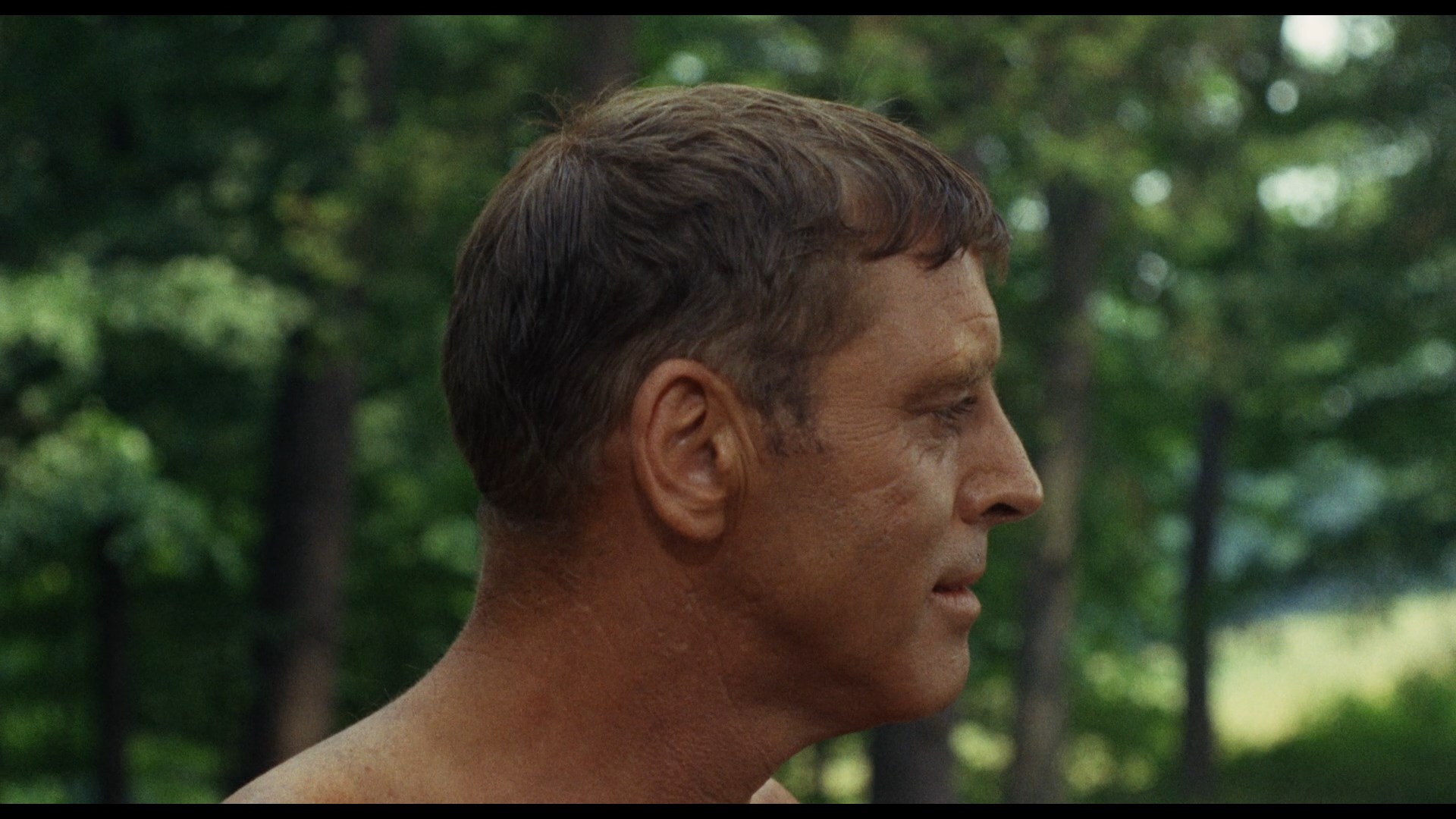 The The Swimmer
