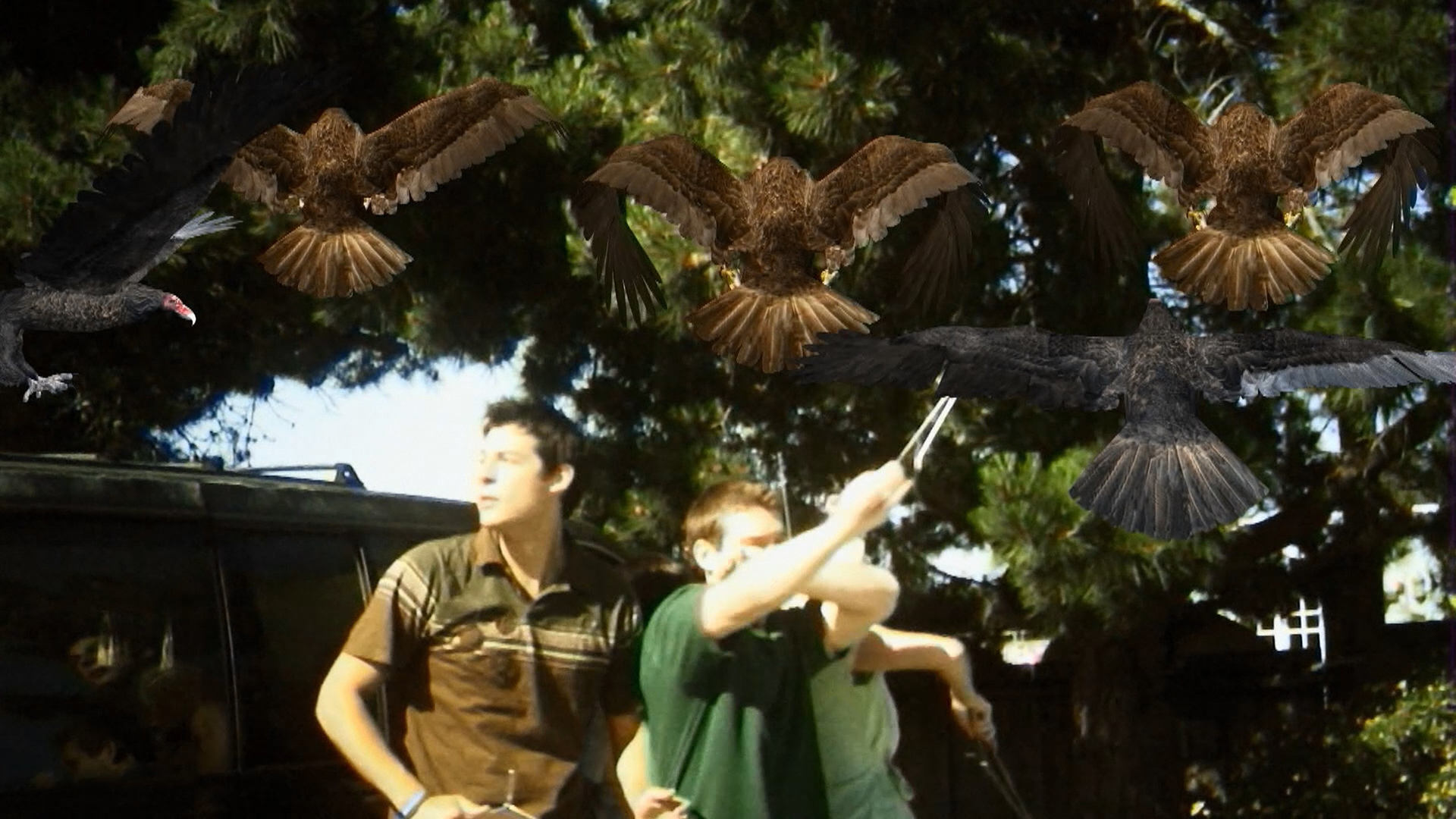 Birdemic: Shock & Terror