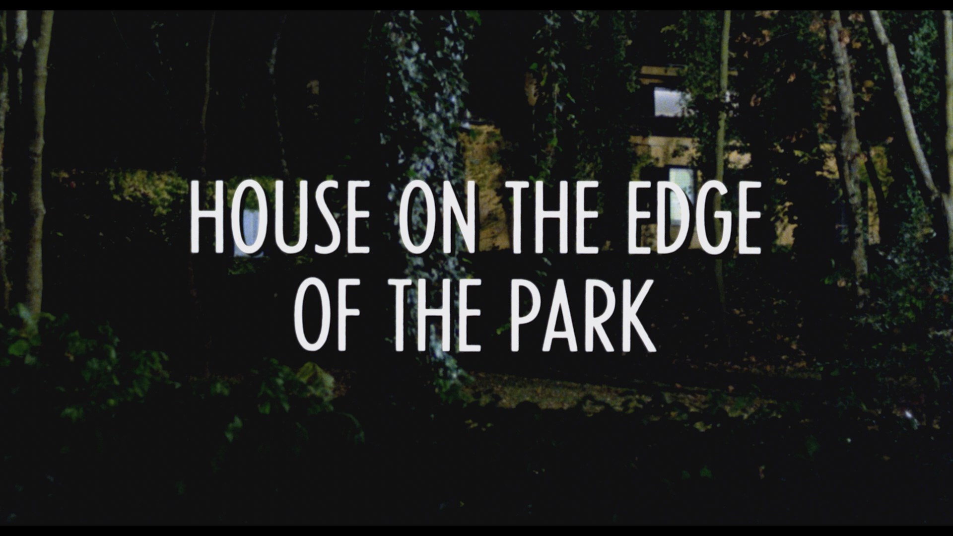 House on the Edge of the Park