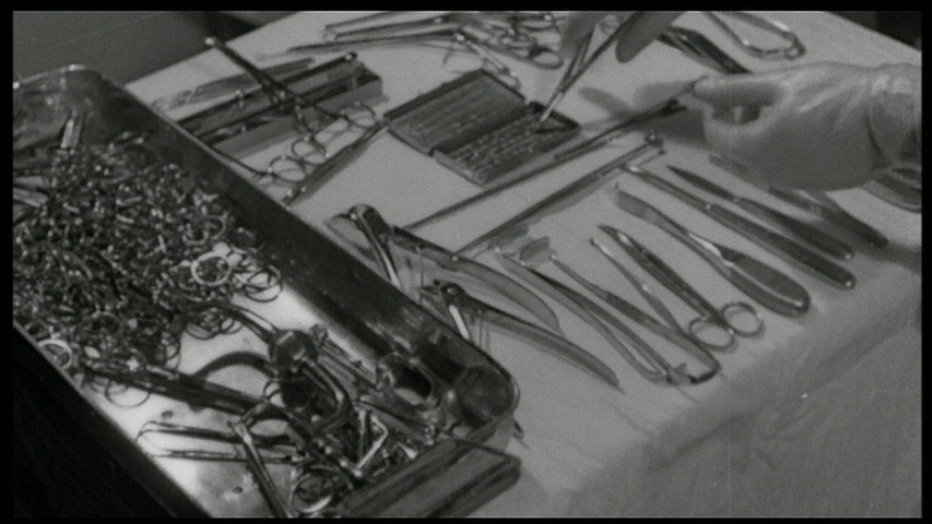 The Virgin of Nuremberg