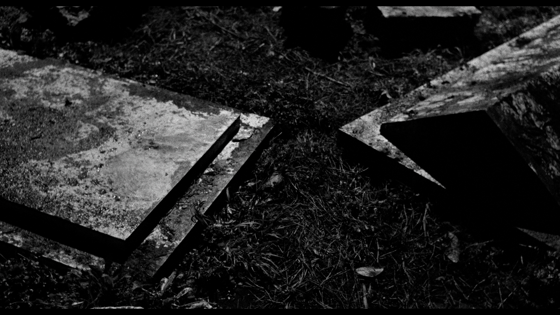 Terror-Creatures from the Grave